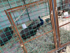 -梁鸿国家湿地公园