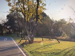 -东湖落雁景区