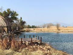 -良渚古城遗址公园