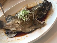 清蒸石斑鱼-鱼乐轩·俄罗斯海鲜直供餐厅(群力店)