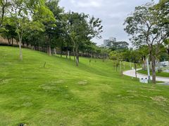 -白石龙音乐公园