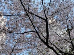 -南浦大桥长途旅游客运站