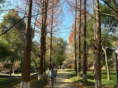 -良渚古城遗址公园