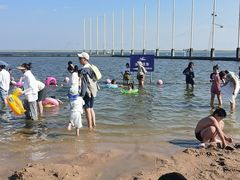 -碧海金沙