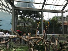 鹦鹉-无锡动物园·太湖欢乐园