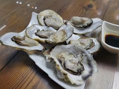 -鲁前海沿儿