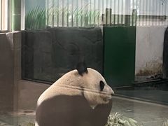-安吉竹博园