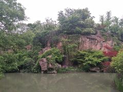 -青枫公园