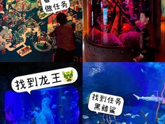 -沈阳海洋探索中心