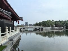 -唐御宴•御宴宫•唐代菜点(芙蓉西路店)