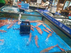 -盒马鲜生(皇庭广场店)