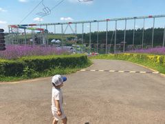 -北纬44度·金珠花海休闲农业旅游景区