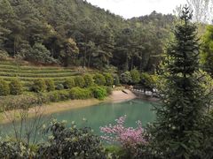 -九龙潭景区