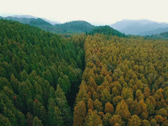 -山王坪喀斯特国家生态公园