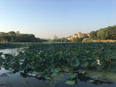 -艾溪湖湿地公园