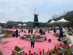 -上海鲜花港