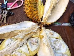 -三亚新鸿港水果一级批发市场