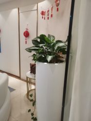 -丽美妍医疗美容·皮秒·立体分层抗衰