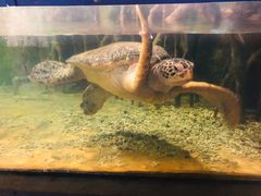 -苏州海洋馆