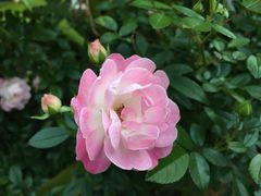 -人民公园(罗湖区)