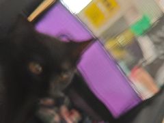 -佳雯宠物医院·皮肤科·内外科(春晓路分院)