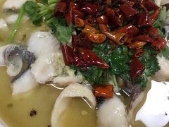 -正宗波记潮州砂锅粥(新洲一街店)
