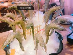 -尚海豆捞(乐虹坊店)