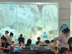 -帝企鹅自助餐厅•儿童岛•真企鹅(长隆企鹅酒店)