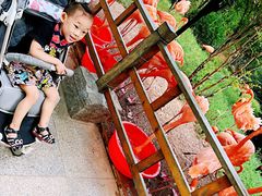 -青岛森林野生动物世界