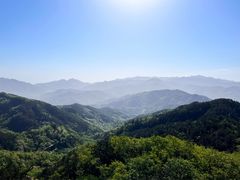 -竹子庵公园