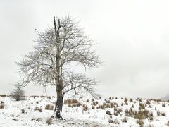 -硗碛藏寨·神木垒景区