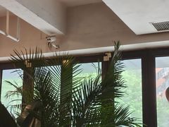 -the rug 飞毯 (朝阳公园店)