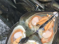 -蚝专家(北滘店)