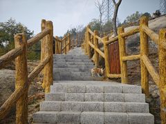-白水寺森林公园