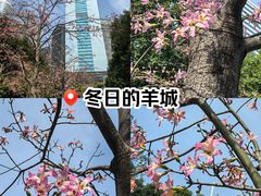 -天河体育中心