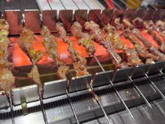 -邢氏老太太烤串(北兴街店)
