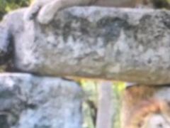 -哈尔滨北方森林动物园