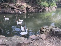 -兰亭风景区