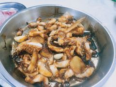 -源港渔村-中山脆肉鲩(博罗店)