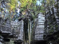 -梭布垭石林景区