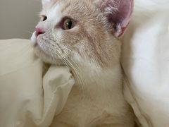 -伟伟宠物医院·CT影像中心·瑞派犬猫综合性门诊(汉口总院)