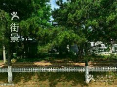 -南戴河国际娱乐中心