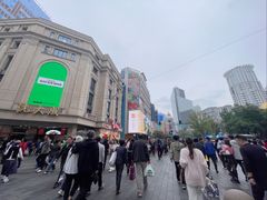 -沈大成(南京东路店)