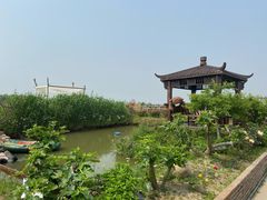 -樂桃源奉贤黄桃种植采摘基地