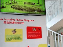 -美吉姆早教(恒隆中心)