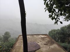 -雨花胜境