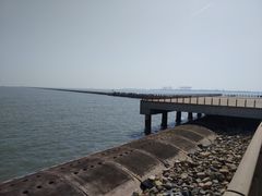 -东疆建设开发纪念公园
