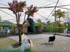 -宁波九龙湖开元度假村