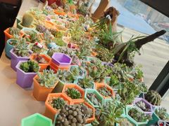 -王红军龙虾(新民路店)