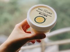 -Dal Cuore 达可芮冰淇淋(陕西北路店)